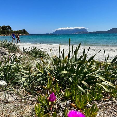 Apartament Monolocale A Due Passi Dal Mare Olbia Zewnętrze zdjęcie