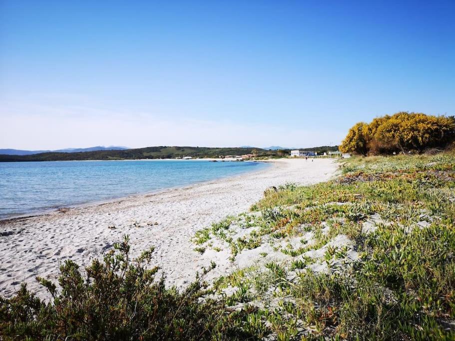 Apartament Monolocale A Due Passi Dal Mare Olbia Zewnętrze zdjęcie