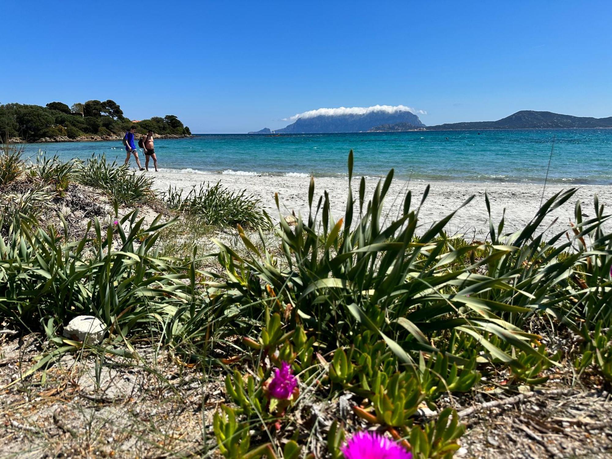 Apartament Monolocale A Due Passi Dal Mare Olbia Zewnętrze zdjęcie